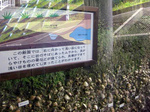 蜆塚公園