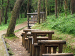 静岡県立森林公園