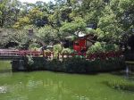 三嶋大社内にある神池と厳島神社