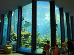 海洋科学博物館