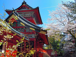 静岡浅間神社
